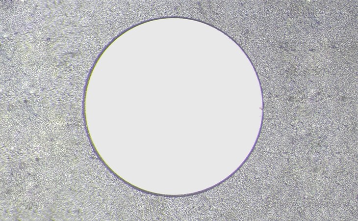 1639981161310764.jpg 石墨烯樣品修改.jpg